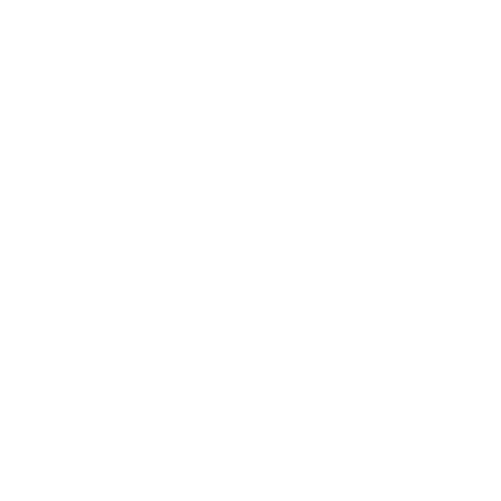 NSW CHINESE DEBATE